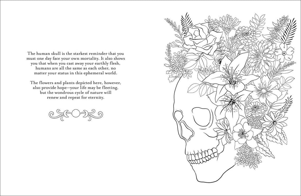 Believe in Magic Coloring Book by Claire Scully