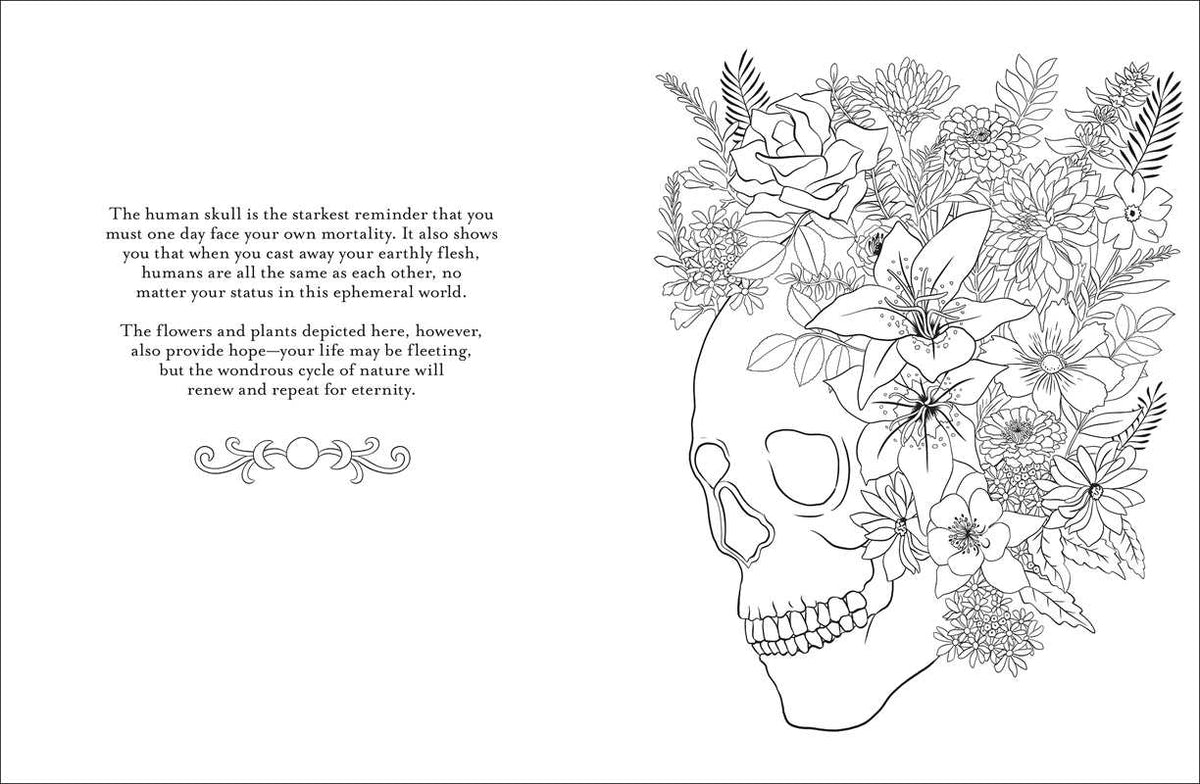 Believe in Magic Coloring Book by Claire Scully
