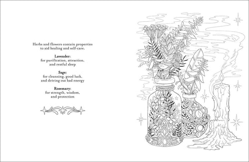 Believe in Magic Coloring Book by Claire Scully