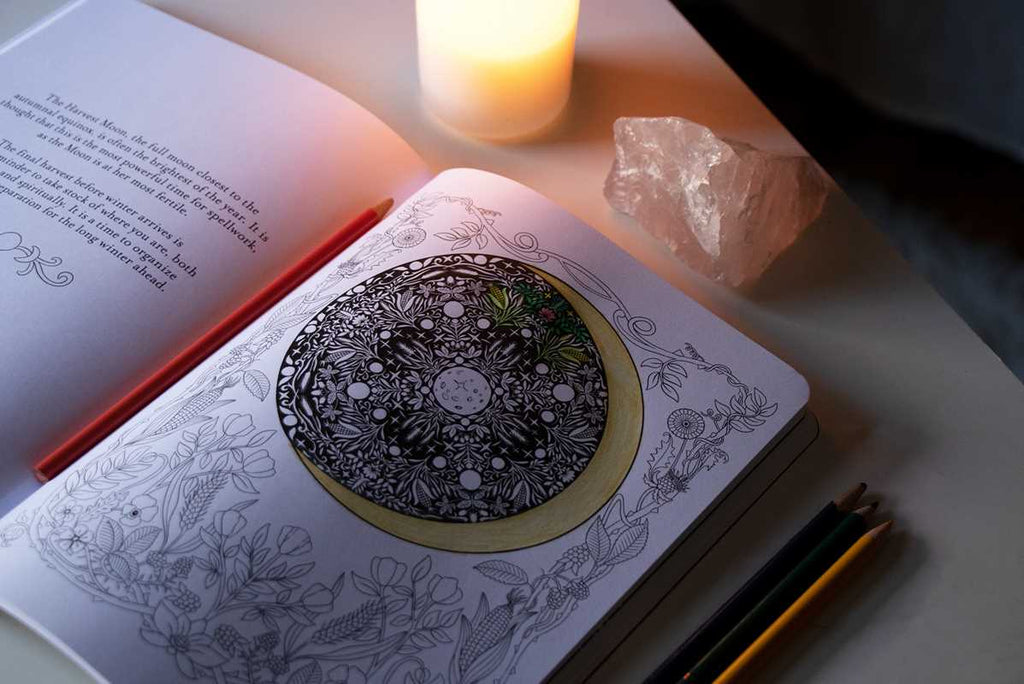 Believe in Magic Coloring Book by Claire Scully